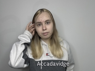 Accadavidge