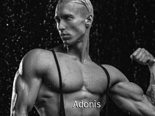 Adonis