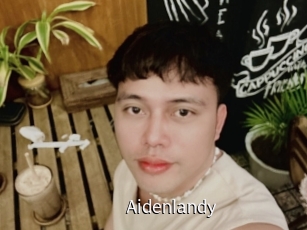 Aidenlandy