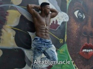 Alexbigmuscle