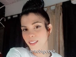 Antobigcock