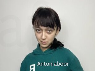 Antoniaboor