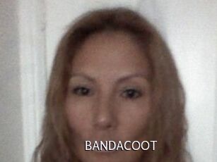 BANDACOOT