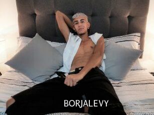 BORJALEVY