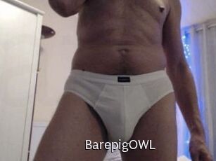 BarepigOWL