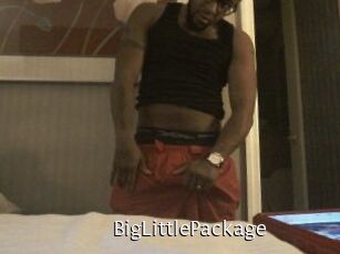 BigLittlePackage