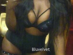 Bluvelvet