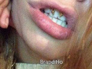 BrandiHo