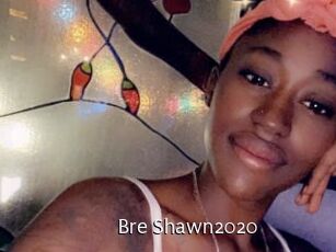 Bre_Shawn2020