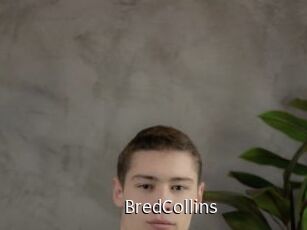 BredCollins