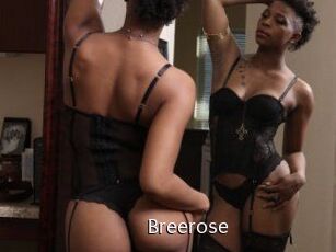 Breerose