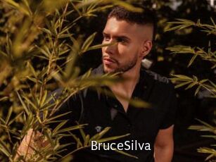 BruceSilva