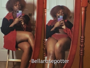 Bellarosepotter