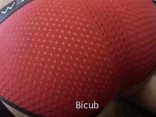 Bicub