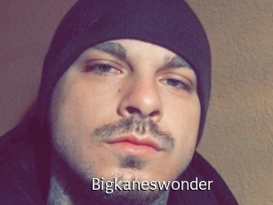 Bigkaneswonder