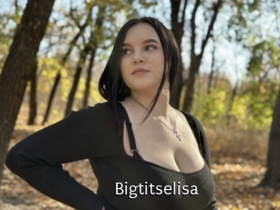 Bigtitselisa