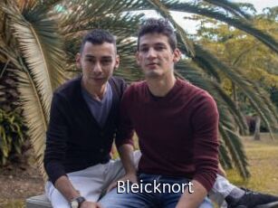 Bleicknort