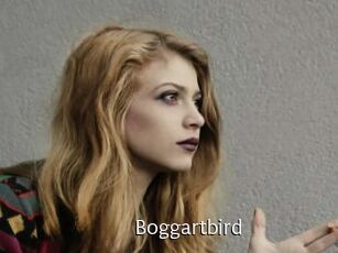 Boggartbird