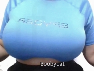 Boobycat