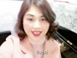 Bosai