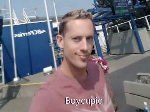 Boycupid