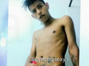 Boyhornysexy1