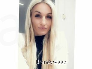 Brandyweed