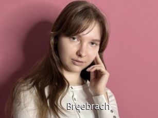 Breebrach