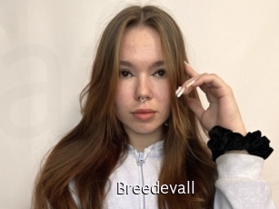 Breedevall