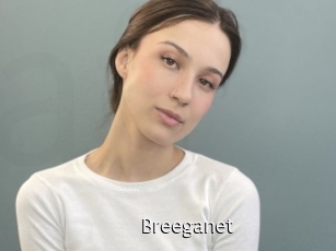 Breeganet