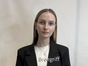 Breegriff