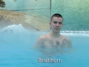 Brianhorn