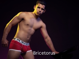 Bricetorus