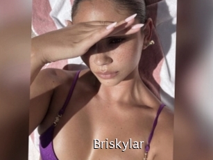 Briskylar