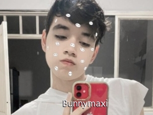 Bunnymaxi