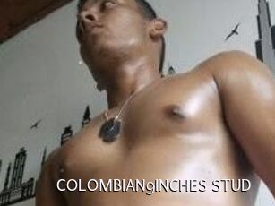 COLOMBIAN9INCHES_STUD