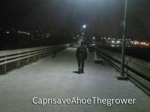 Capn_save_A_hoe_The_grower