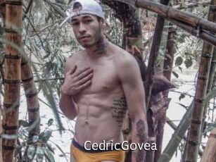 CedricGovea