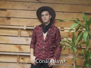 Conall_Hawk