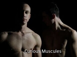 Curious_Muscules