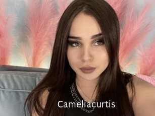 Cameliacurtis