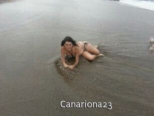 Canariona23