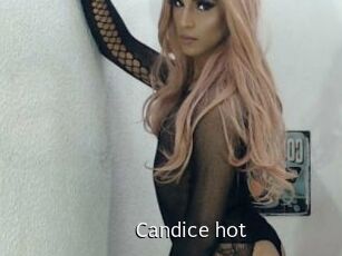 Candice_hot