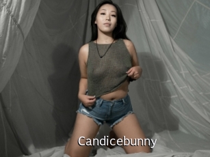 Candicebunny