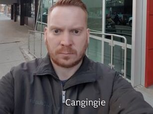 Cangingie