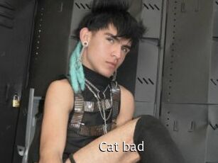 Cat_bad