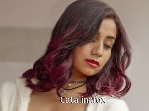 Catalinafox