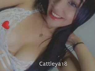 Cattleya18