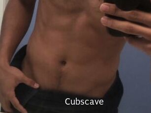 Cubscave