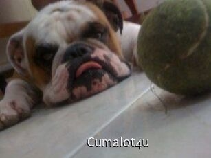 Cumalot4u